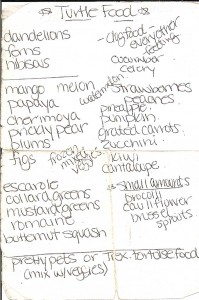 Maya's Food List