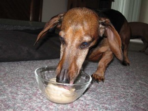 Senior Citizen Floppie Senior Citizen Floppie