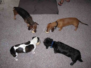 Enjoying Birthday Ice Cream! Enjoying Birthday Ice Cream!