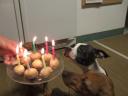 Ebony's First Birthday!!!